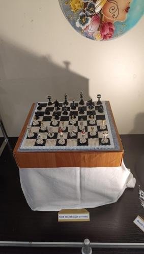 gyogyszemek-corvin-mveszkor-kiallitas-img-20240530-124514