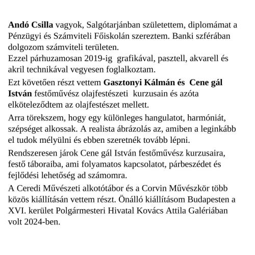 Ando-Csilla-bemutatkozo-40-40