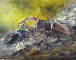 21-balajtine-zsuzsa-bzs-bogarszerelem-2026-30x40-olaj-farost-balajti-janosne