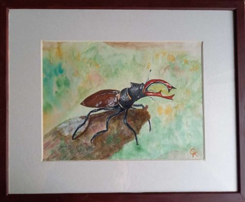99-olasz-katalin-erdei-kiralyfi-36x44-akvarell-katalin-olasz