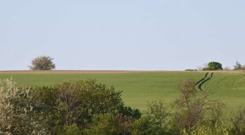 29-dsc-2452-zsuzsanna-szke