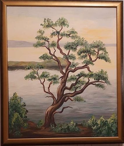 57-maganyos-rszem-agi-regos